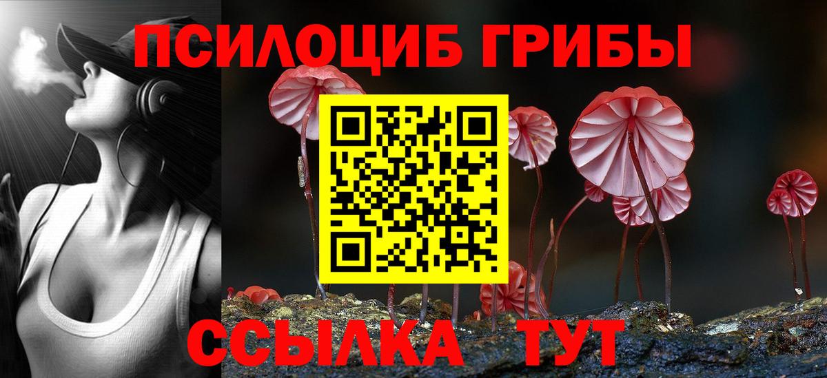 Псилоцибиновые грибы мицелий Шелехов